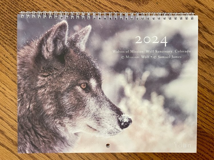2024 Wolves of Mission: Wolf Calendar