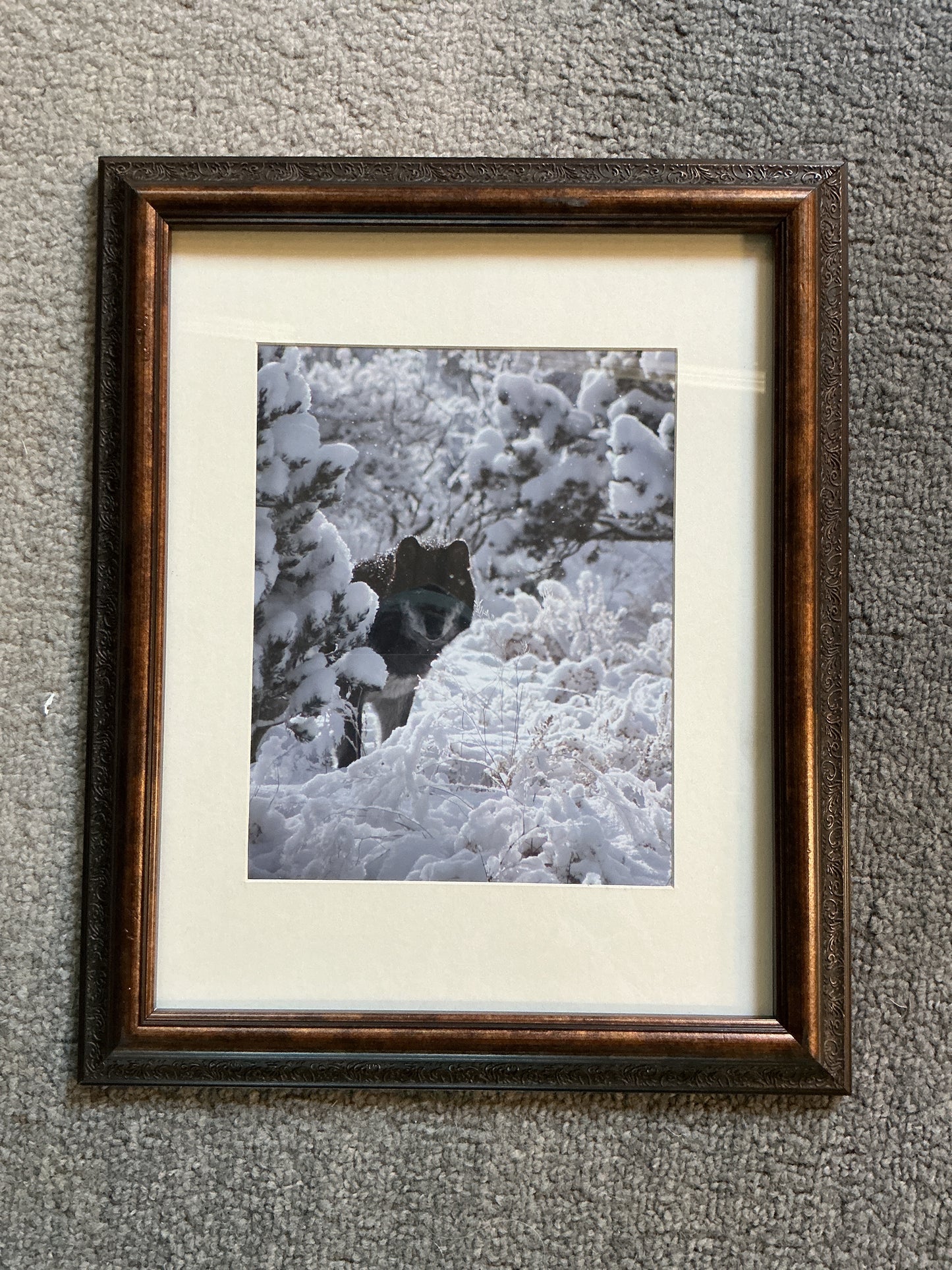 Arrow framed photo