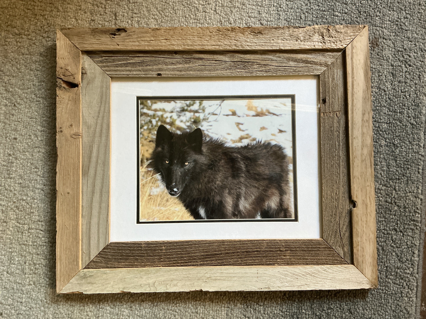 Saurya framed photo