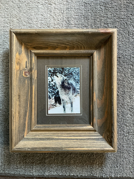Zeab howling framed photo