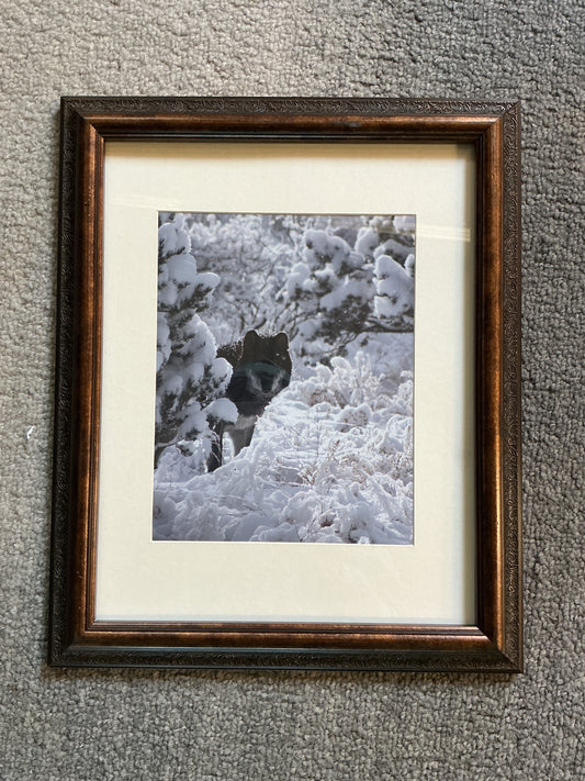 Arrow framed photo