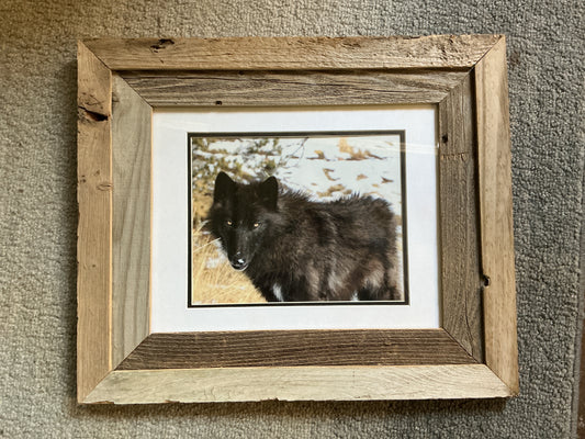 Saurya framed photo