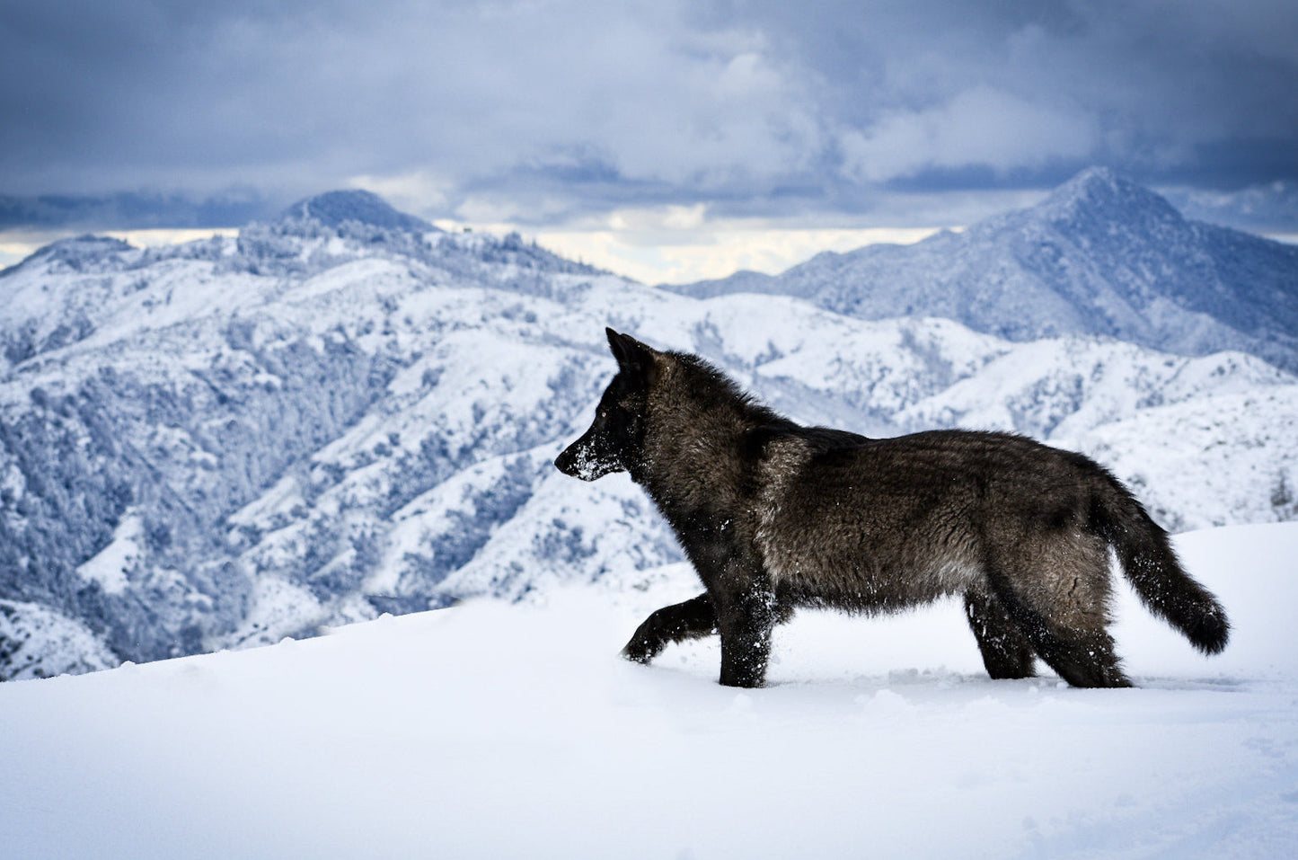 "Everything the Light Touches" Metal Print (12"x18")