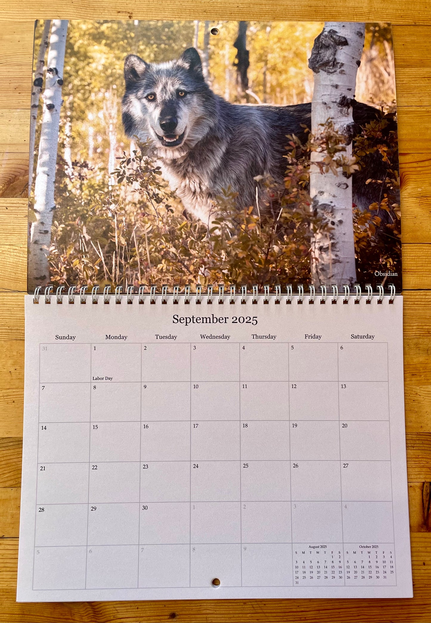 2025 'Visions of Mission: Wolf' Calendar