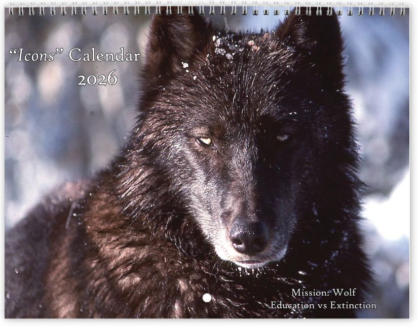 2026 Mission: Wolf "Icons" Calendar